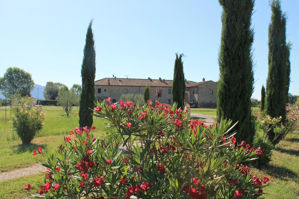 Il Grifone A Cortona Residence エクステリア 写真