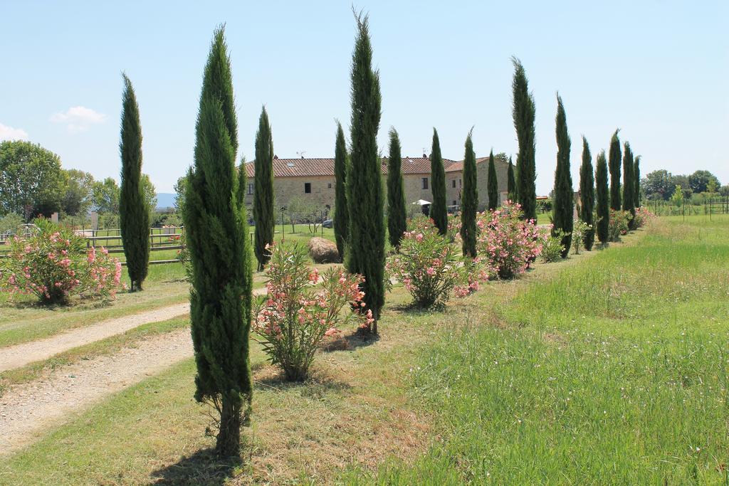 Il Grifone A Cortona Residence エクステリア 写真