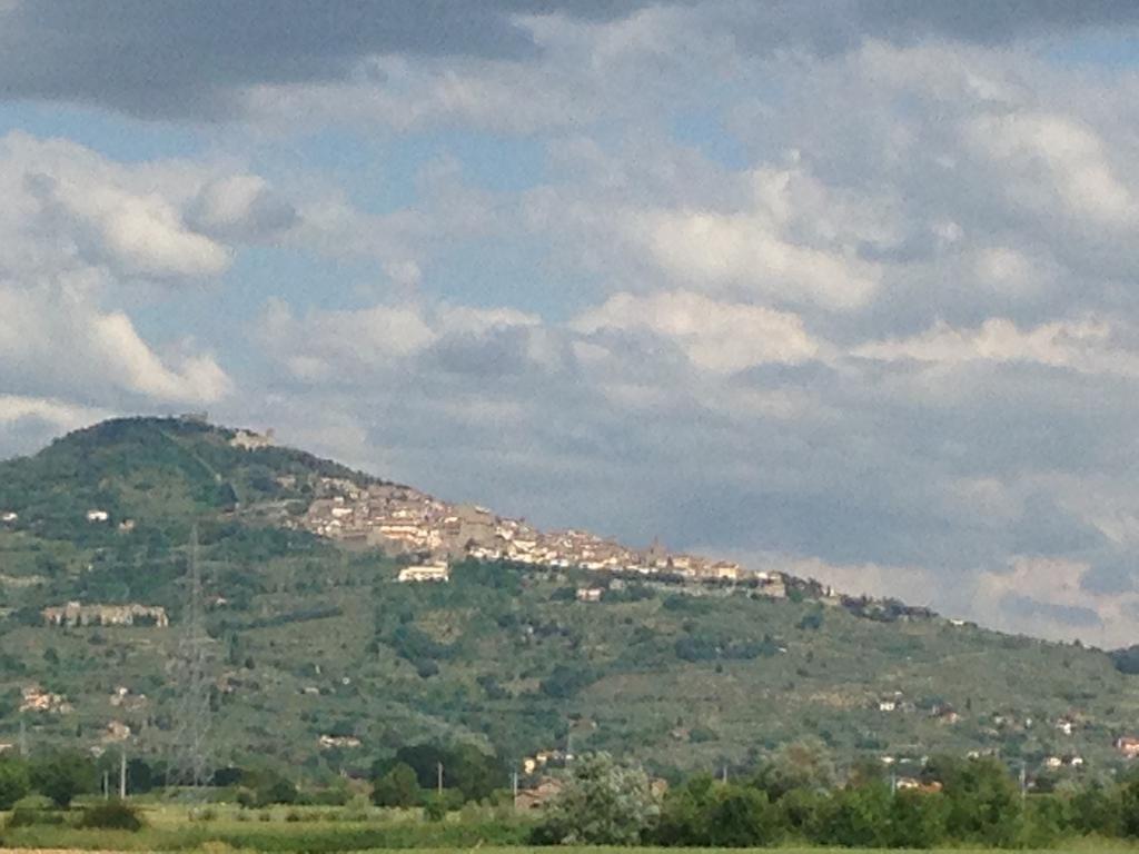 Il Grifone A Cortona Residence エクステリア 写真
